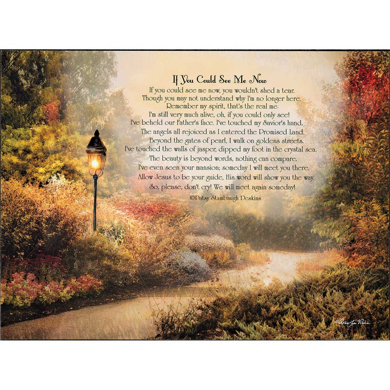 Dicksons If You Could See Me Now Path 15 x 11 Inch Wood Wall Hanging Plock Plaque