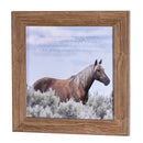 Dicksons Those We've Loved And Lost Walk Beside Us Blue and Brown 16 x 16 Inch Wood and Glass Decorative Hanging Framed Wall Sign