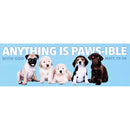 Dicksons Inspirational Christian Bookmark for Books and Novels 2 x 6 Inch Paper Anything is Pawsible Pack of 12