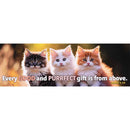 Dicksons Inspirational Christian Bookmark for Books and Novels 2 x 6 Inch Paper Good and Purrfect Pack of 12
