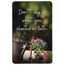 Dicksons Don't Dig Up What You Planted Green and Pink 2.5 x 4 Paper Encouraging Durable Laminated Bookcard Bookmark, Pack of 12