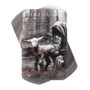Dicksons He Rescued Psalm 91:14 4 x 2.5 Inch Grey Cardstock Paper Pocketcard Bookmark Set of 12