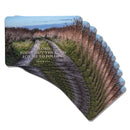 Dicksons Inspirational Christian Pocketcard Bookmark for Books, Bible Study, Journals 2.5 x 4 Inch Card Stock Show Me The Right Path Pack of 12