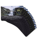 Dicksons Inspirational Christian Pocketcard Bookmark for Books, Bible Study, Journals 2.5 x 4 Inch Card Stock Whoever Believes in Me Pack of 12