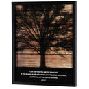 Dicksons Inspirational Christian Framed Shadow Box Wall Art 17 x 21 Inch Wood and Glass Tree Silhouette I am the Vine