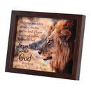Dicksons Daniel Taken Out Of The Den Walnut Finish 11 x 9 Inch Wood and Glass Shadow Box Wall and Tabletop Frame