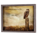 Dicksons One Who Gets Wisdom Loves Life Proverbs 19:8 Brown and Grey Wood and Glass Shadowbox Style Hanging Wall Art 17 x 13 Inch