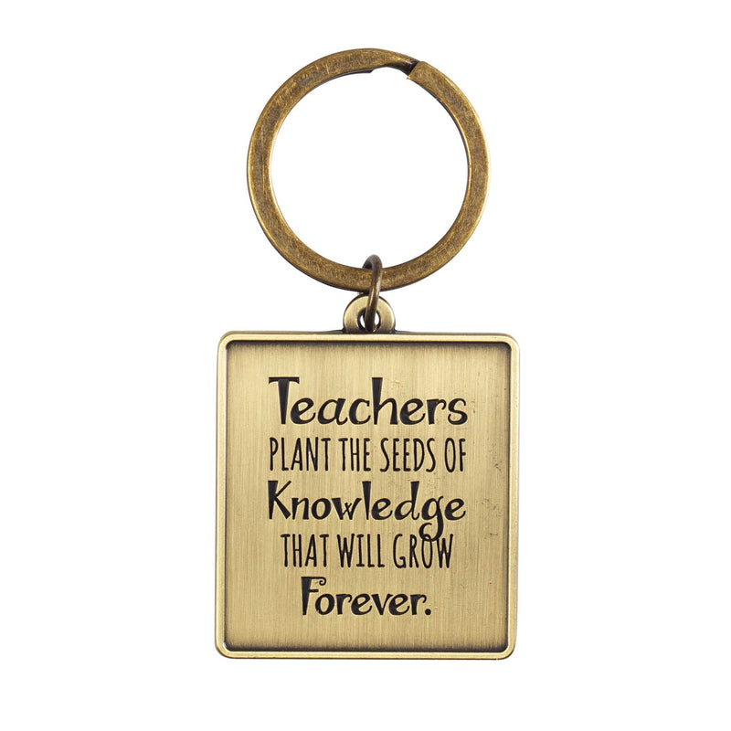 teachers plant seeds of knowledge Dicksons Teachers Plant Seeds Of Knowledge Gold 3 inch Zinc Alloy Keychain Accessory