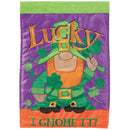 Magnolia Garden Lucky I Gnome It 13 x 19 Green Polyester Outdoor Hanging Flag