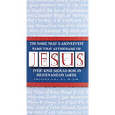 Dicksons Name Above Every Name Blue and Red 5 x 3 Inch Vinyl Decorative Refrigerator Magnet