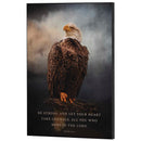 Dicksons Be Strong and Let Your Heart Take Courage Psalm 31:24 Black and Brown MDF Decorative Wall Plaque 16 x 11 Inch