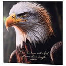Dicksons Those Who Hope In The Lord, Isaiah 40:31, Multicolor 15 x 15 Inch MDF Wood Wall Art Plaque