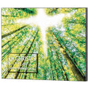 Dicksons Light Shine Through Green 11 x 14 Inch Wood Decorative Wall Sign Plaque