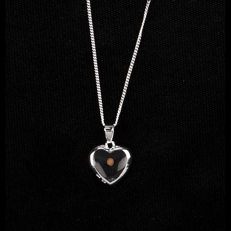 Dicksons Heart with Clear Interior and Mustard Seed Silver-Plated 18-Inch Pendant Necklace