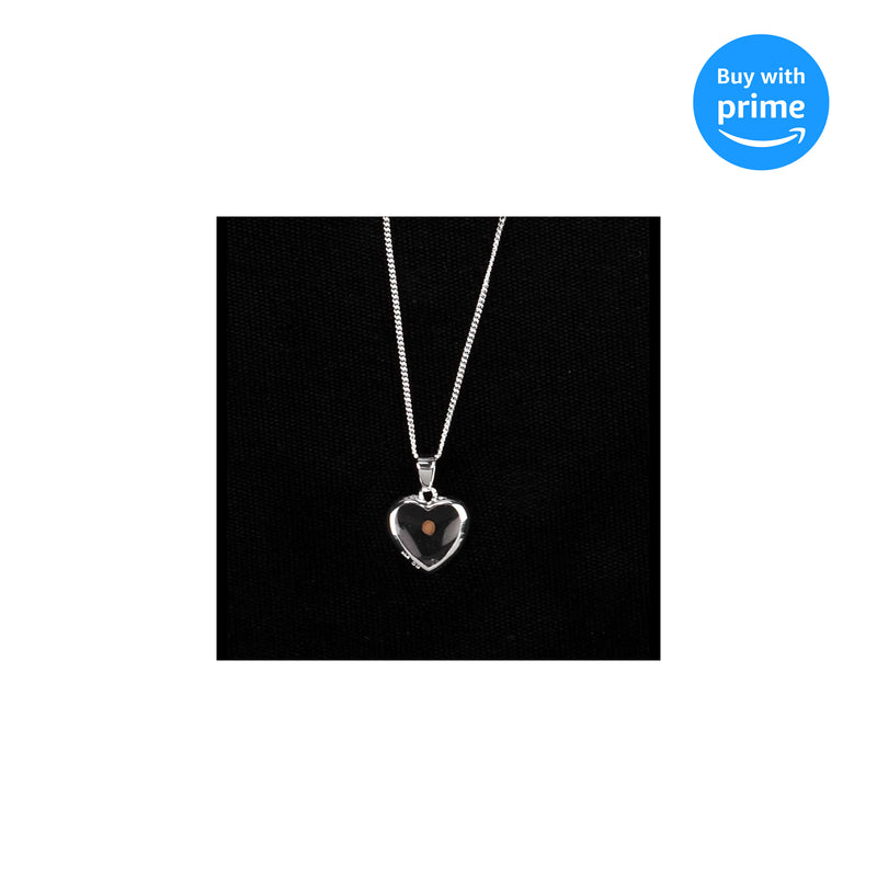 Dicksons Heart with Clear Interior and Mustard Seed Silver-Plated 18-Inch Pendant Necklace