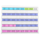 Dicksons Rainbow Bible Index Tabs Old and New Testament Books 77 Tabs