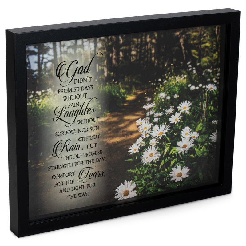 Didn't Promise Days Without Pain Laughter White Daisy 11 x 14 Wood and Glass Wall Tabletop Frame