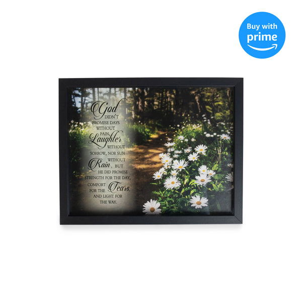 Didn't Promise Days Without Pain Laughter White Daisy 11 x 14 Wood and Glass Wall Tabletop Frame