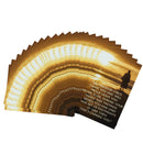 Dicksons Precious Child Sunset 2 x 3 Inch Bookmark Pack of 24