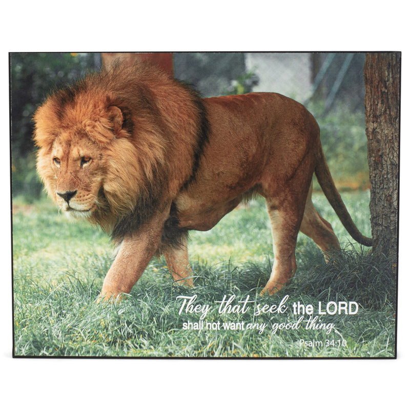 Seek Him Shall Not Want Roaming Lion 8 x 10 MDF Decorative Wall and Tabletop Frame
