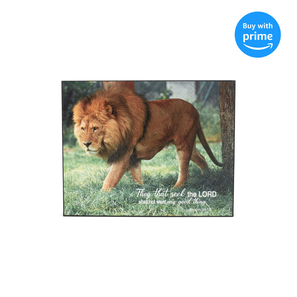 Seek Him Shall Not Want Roaming Lion 8 x 10 MDF Decorative Wall and Tabletop Frame