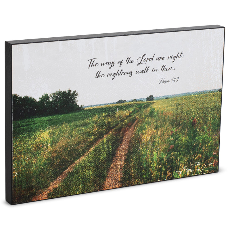 Ways Of The Lord Are Right Green Meadow 8 x 12 MDF Decorative Wall and Tabletop Frame