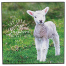 Lord Is My Shepard White Lamb 6 x 6 MDF Decorative Wall and Tabletop Frame