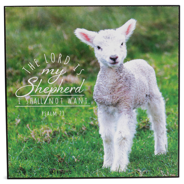 Lord Is My Shepard White Lamb 6 x 6 MDF Decorative Wall and Tabletop Frame