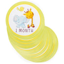 Precious Little Monkey Giraffe Elephant Monthly Milestone 5 x 5 Paper Adhesive Shirt Sticker
